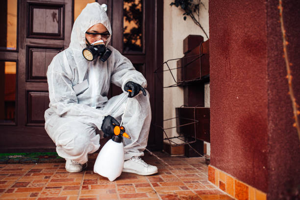 Reliable Wasp Removal contractor in Lamar, AR by Show Me Pest Control